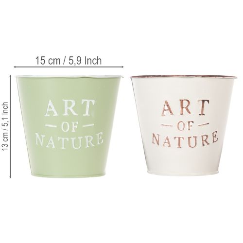 Kvetináč Art of Nature s nápisom, dekorácia na parapet a do obývačky, 15 cm, 2 kusy | Floristik24.sk