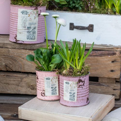 položky Dekoračný box na kvetináč kruhový starý ružový kovový kvetináč Ø8cm V7,5cm