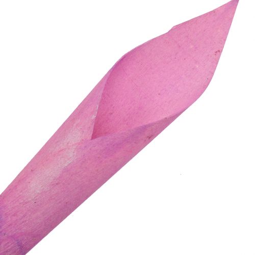 položky Kvetinový lievik cigara kala ružová 18cm - 19cm 12ks