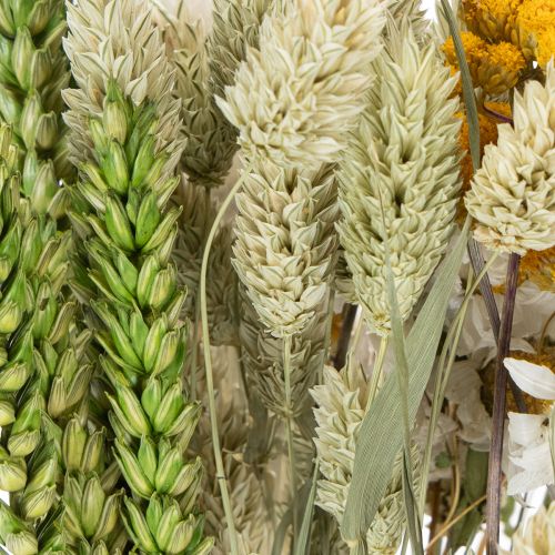 položky Kytica sušených kvetov, elegantná kytica sušených kvetov do obývačky, 50 cm