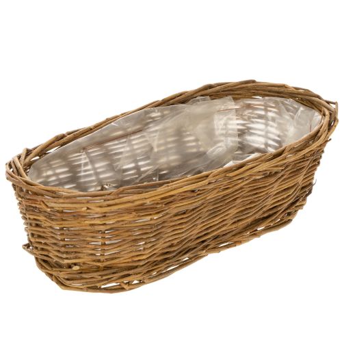 Chlebník oválny, nelúpaný, cca 30 cm kúpiť | Floristik24.sk