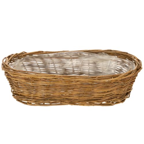 Chlebník oválny, nelúpaný, cca 30 cm | Floristik24.sk