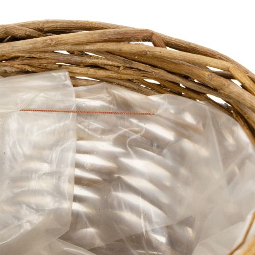 Chlebník oválny, nelúpaný, cca 30 cm | Floristik24.sk