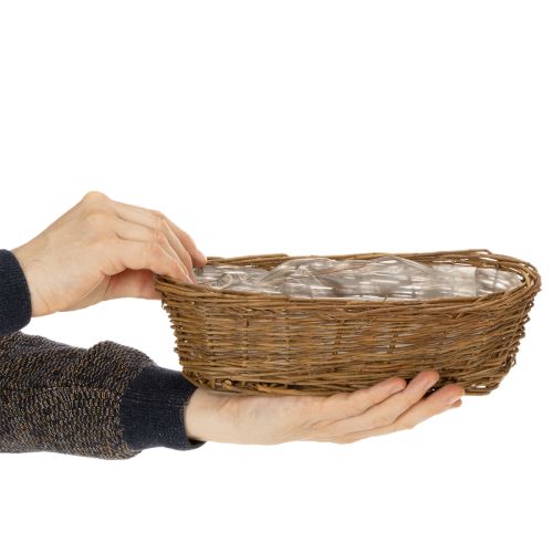 Chlebník oválny, nelúpaný, cca 30 cm | Floristik24.sk