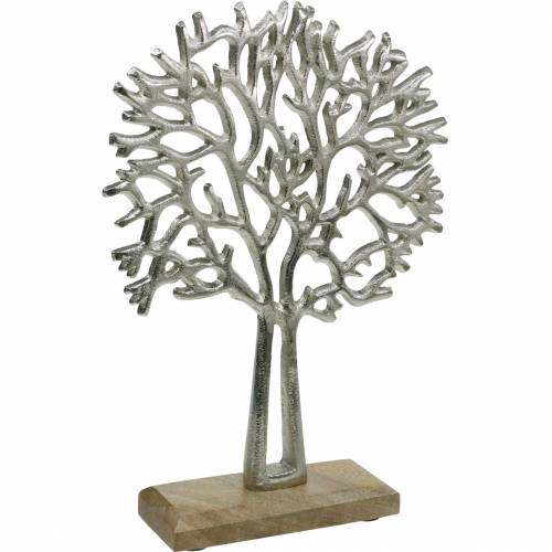 Floristik24 Ozdobný strieborný buk, kovová silueta stromu, okrasný strom na mangovom dreve
