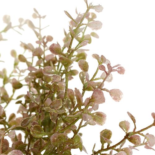 Floristik24 Buxusový konár ružový, ružový so sľudou 32cm