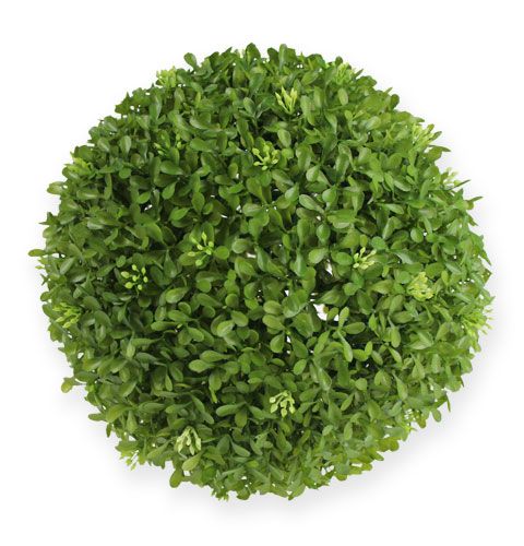 Floristik24 Boxová guľa Ø25 cm