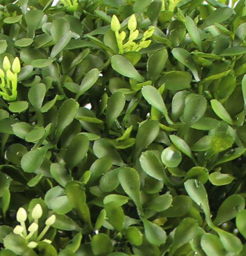 Floristik24 Boxová guľa Ø25 cm