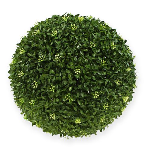 Floristik24 Boxová guľa Ø 30 cm