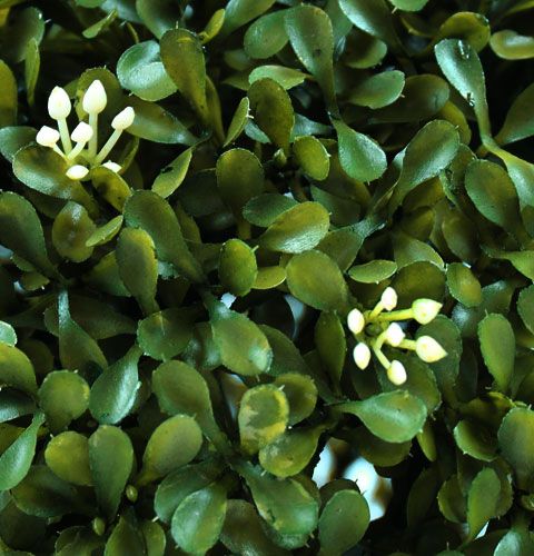 Floristik24 Boxová guľa Ø 30 cm