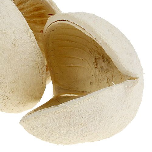 položky Orech Buddha bielený 10 ks