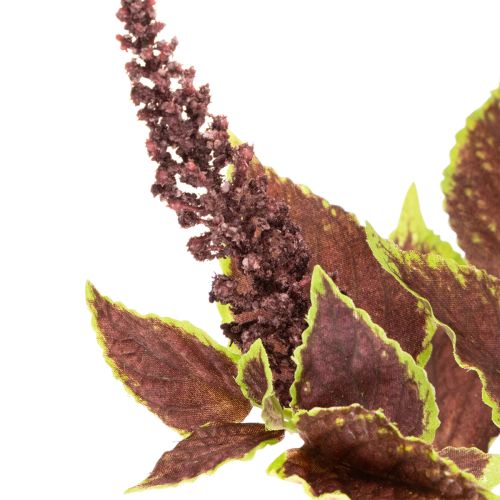 Umelý Coleus s červenými listami, umelá rastlina, 20 cm | Floristik24.sk