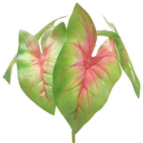 Floristik24 Umelá caladium šesťlistá zelená/ružová umelá rastlina ako skutočná!