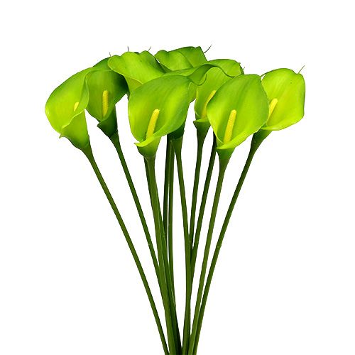 Floristik24 Calla umelá zelená 8cm L57cm 12ks