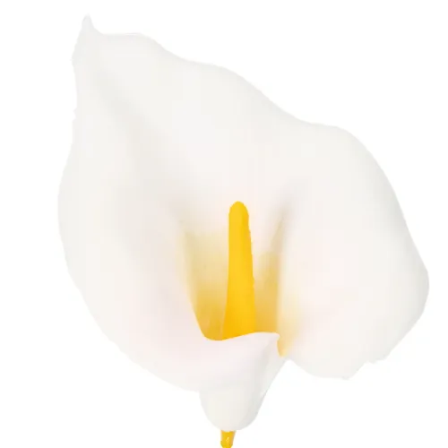 Umelá kala so žltými tyčinkami, ozdobné kvety, 35 cm, 10 kusov | Floristik24.sk