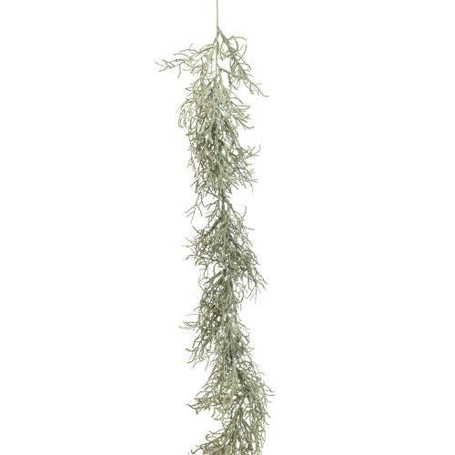 Floristik24 Calocephalus Garland Umelé rastliny Silver Grey 122cm
