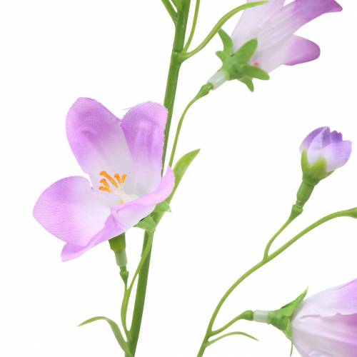 položky Umelý zvonček Campanula Violet White 66cm