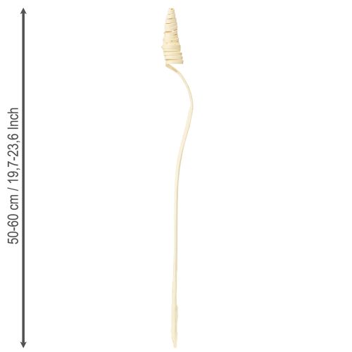 položky Trstinová šiška bielená 25 ks