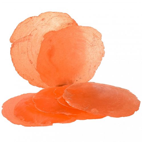 Capiz mušle Capiz plátky perleťové plátky pomaranč 7,5–9,5 cm 300 g