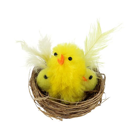 Floristik24 Žinilkové mláďatá v hniezde Ø5cm žlté 4ks