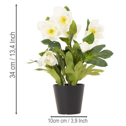 Umelá vianočná ruža, kvet v kvetináči, dekorácia na stôl, 34 cm | Floristik24.sk