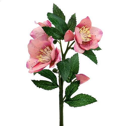 Floristik24 Vianočná ruža ružová L22cm 1ks