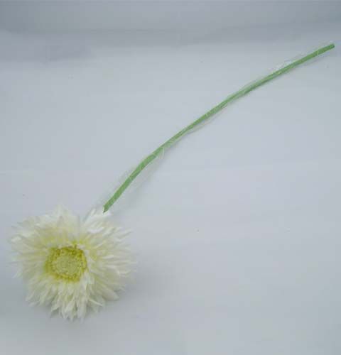 položky Chryzantéma Teddy 63 cm biela