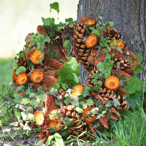 položky Rozeta Compacta 100 ks