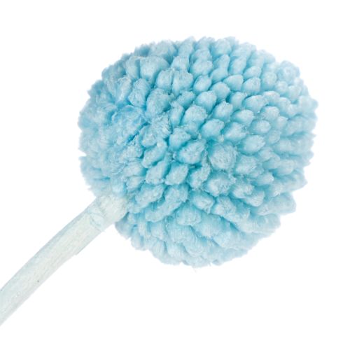 položky Dekorácia zo sušených kvetov Craspedia do vázy, minimalistický štýl, dlhotrvajúca letná dekorácia, 55 cm, 20 kusov