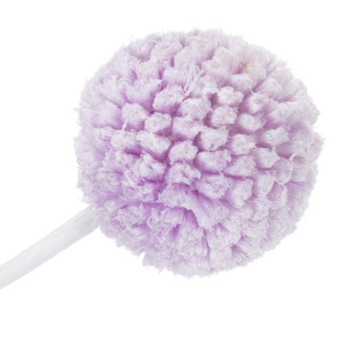 položky Sušené kvety Craspedia pre modernú dekoráciu stola vo vašej domácnosti, 55 cm, 20 kusov