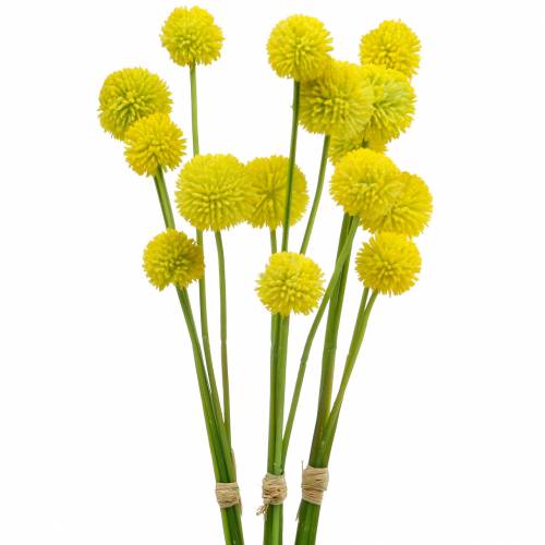 Floristik24 Paličky Craspedia Yellow umelý záhradný kvet Hodvábne kvety 15ks