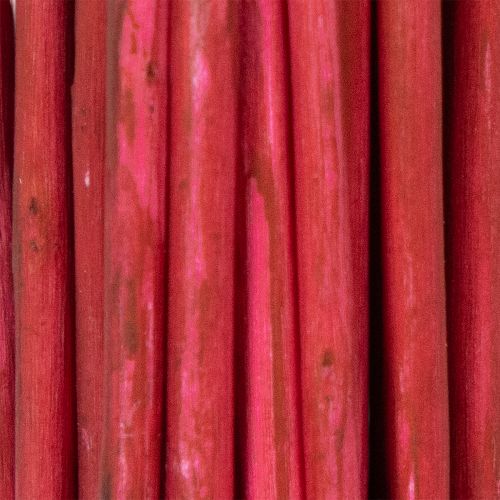 položky Dekoratívna sušená vetvička z kučeravej vŕby pre kreatívne kvetinárstvo a bytové doplnky 80 cm 70 g