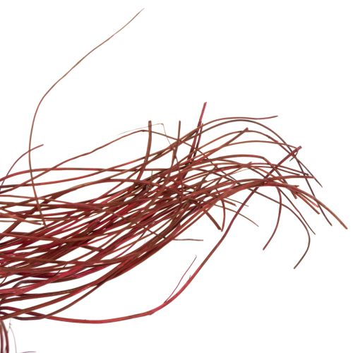 položky Dekoratívna sušená vetvička z kučeravej vŕby pre kreatívne kvetinárstvo a bytové doplnky 80 cm 70 g