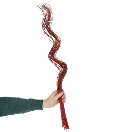 položky Dekoratívna sušená vetvička z kučeravej vŕby pre kreatívne kvetinárstvo a bytové doplnky 80 cm 70 g