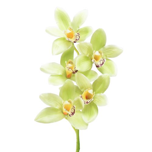 Cymbidium orchidea umelá 5 kvetov zelená 65cm