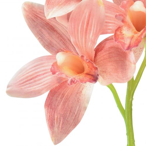 položky Cymbidium orchidea umelá 5 kvetov broskyňa 65cm