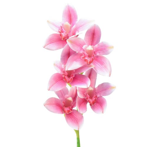 Cymbidium orchidea umelá 5 kvetov ružová 65cm