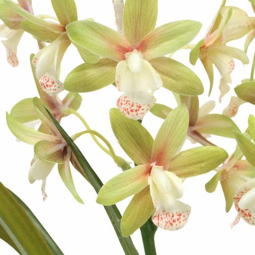 položky Orchidea Cymbidium Green v kvetináči Umelý V46cm