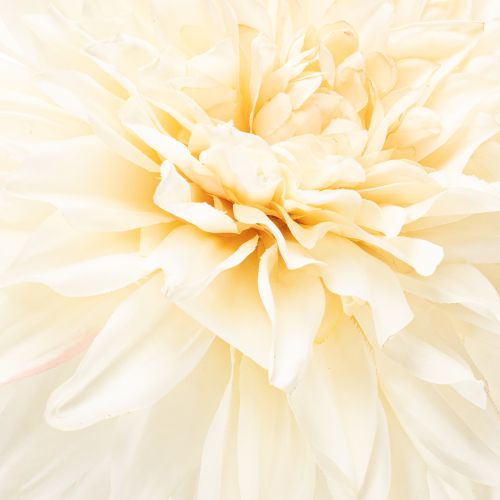 Umelý kvet dahlia do vázy 68 cm | Floristik24.sk