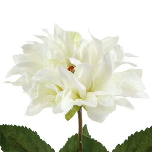 položky Dahlia biela 28cm 4ks