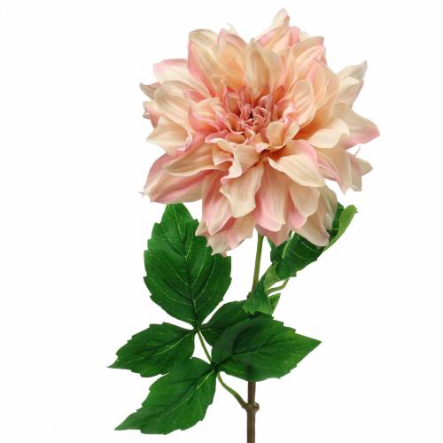 Floristik24 Dahlia ružová 62cm