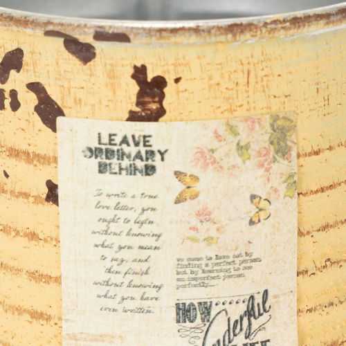 položky Dekoratívna plechovka, letná marhuľová farba, kovová plechovka, kvetináč, Ø8 cm V7,5 cm