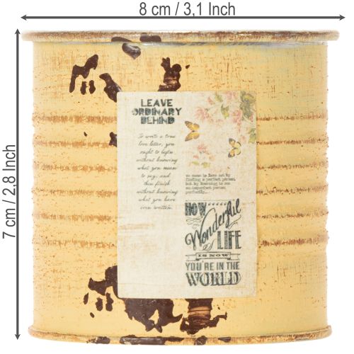 položky Dekoratívna plechovka, letná marhuľová farba, kovová plechovka, kvetináč, Ø8 cm V7,5 cm