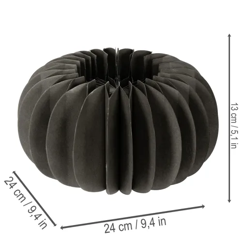 Papierové ozdobné krúžky s včelinou z tekvice 24 cm, 4 ks | Floristik24.sk