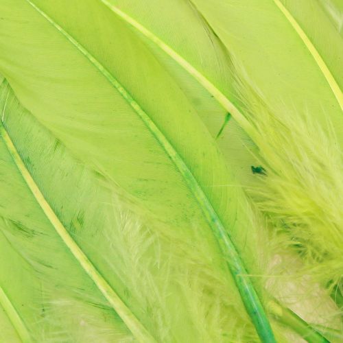položky Ozdobné pierka na remeslá husacie pierka svetlozelené 20g x 2ks