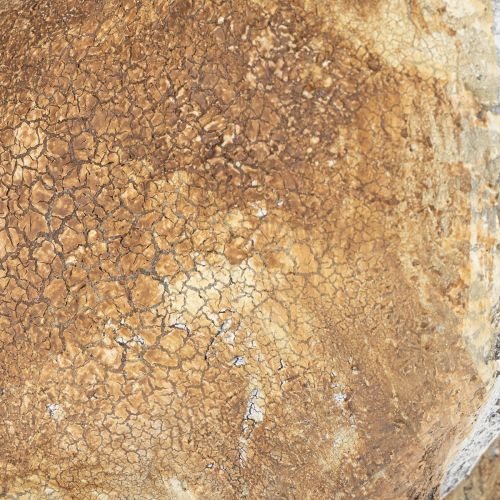 položky Dekoratívna figúrka králika pre jarné dekorácie do domácnosti, 32 cm, 2 kusy