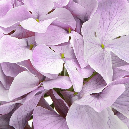 položky Dekorácia Hortenzie Umelé kvety Fialový kvet Ø18cm 69cm 2ks