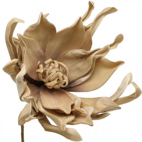 položky Deco lotosový kvet umelý lotosový kvet umelý kvet béžový L68cm