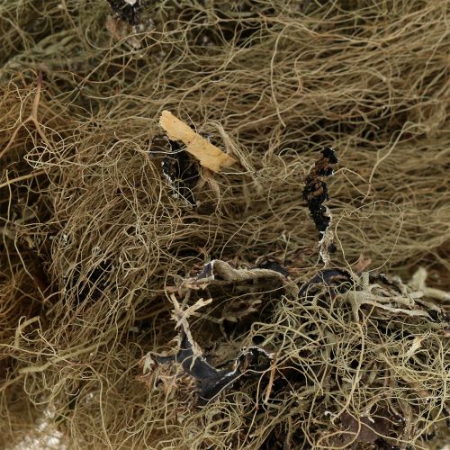 Floristik24 Dekoratívna machová príroda na ručné práce 500g