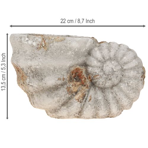 Floristik24 Ozdobný kvetináč mušľového kamenného vzhľadu 22,5x13,5x13,5cm